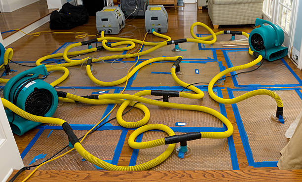 Professional Sewage Cleanup technician working in Bleiblerville, TX